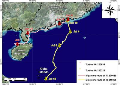 Application of Quick Response Code in Sea Turtle Conservation: Overcoming Limitations of Existing Individual Markers